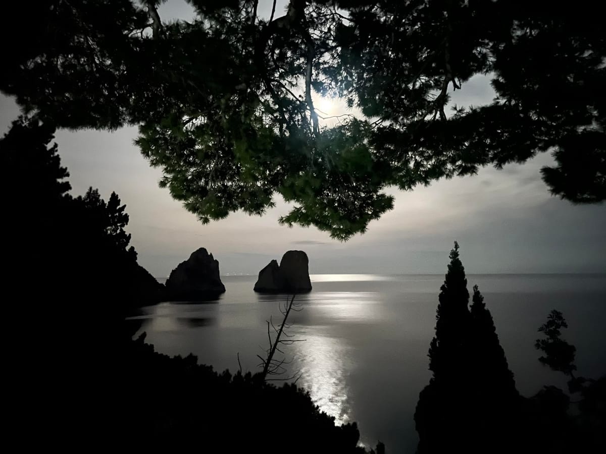 What a Neuron Teaches Us About Computation's Limits